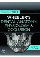 کتاب  WHEELER’S DENTAL ANATOMY, PHYSIOLOGY, AND OCCLUSION 2020Stanley J.Nelson-نویسند