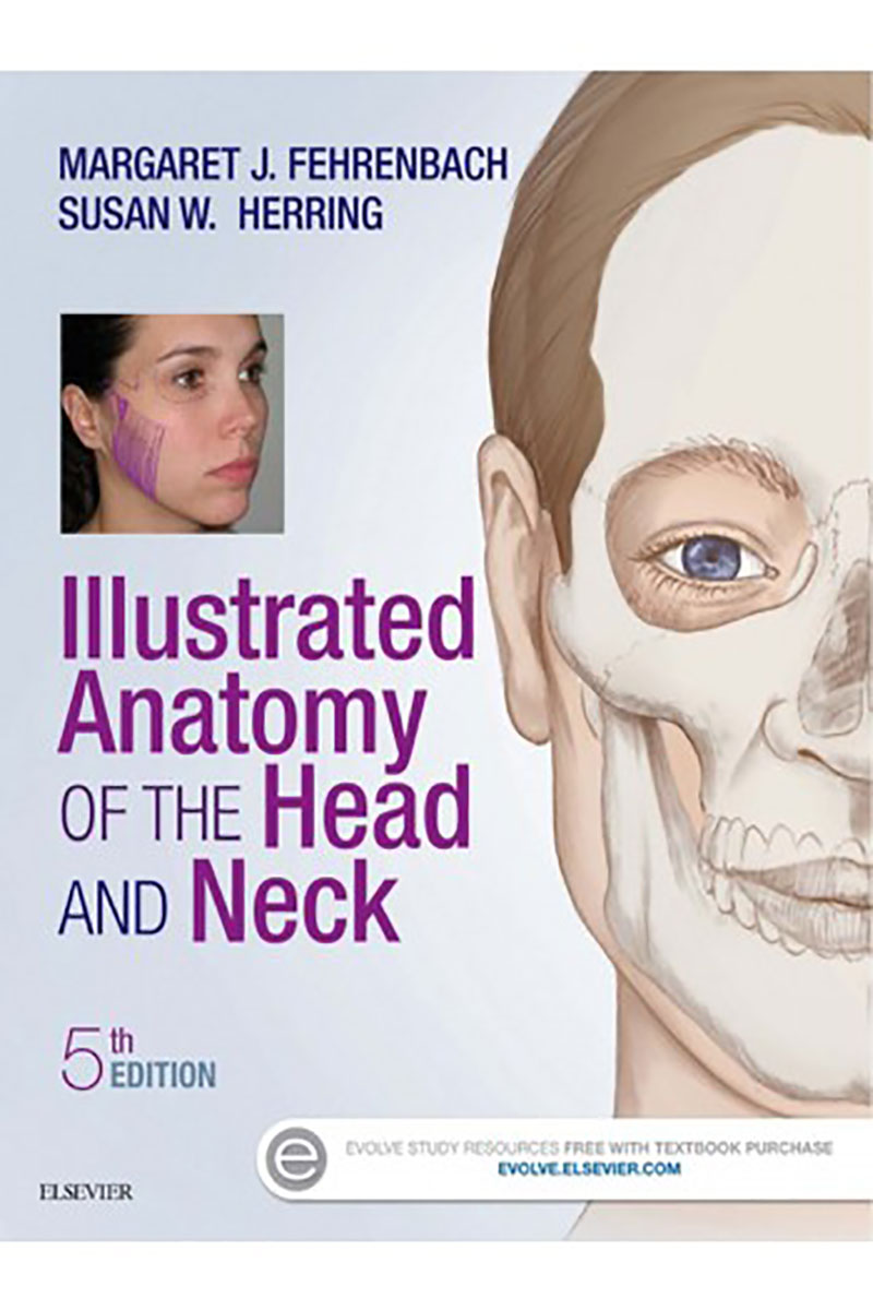 کتاب Illustrated Anatomy of the Head and Neck- نویسندهMARGARET J . FEHRENBACH
