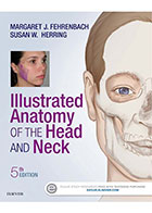 کتاب Illustrated Anatomy of the Head and Neck- نویسندهMARGARET J . FEHRENBACH