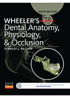 کتاب Wheeler's Dental Anatomy, Physiology, and Occlusion 2016- نویسندهSTANLEY J. NELSON
