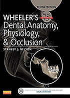 کتاب WHEELER’S Dental Anatomy, Physiology, and Occlusion- نویسندهStanley J. Nelson