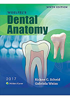 کتاب Woelfel's DENTAL ANATOMY 2017- نویسندهRickne C. Scheid