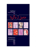 کتاب مندیبل و ماگزیلا ترجمه فصل ۵  آکرمن ۲۰۱۸-نویسنده Ackerman, Lauren-مترجم دکتر نکیسا ترابی نی